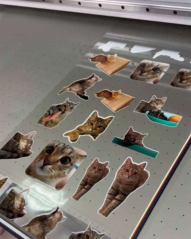 Наклейки с котиками
